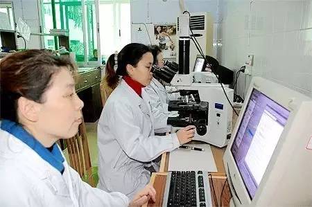 比儿科更缺人！病理人才全线告急