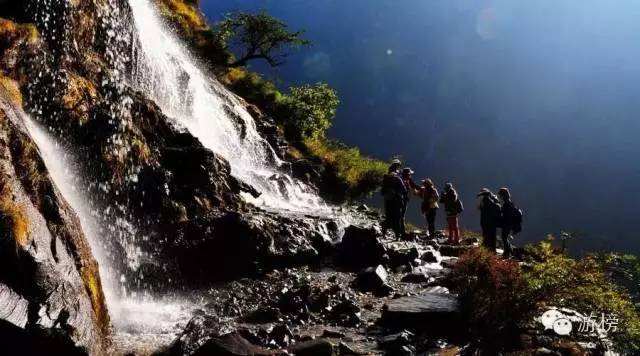 一周直播榜单,一周榜单
