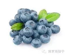 养肤护肤的食物,十大美肤食物排行