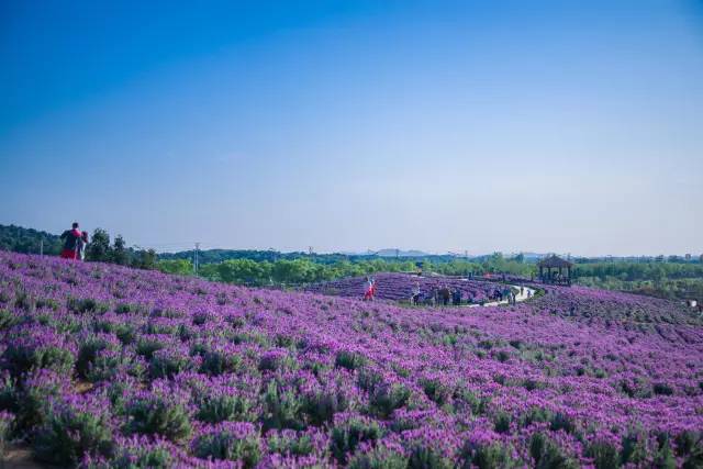 国务院批复合肥的定位,国家为什么要发展合肥