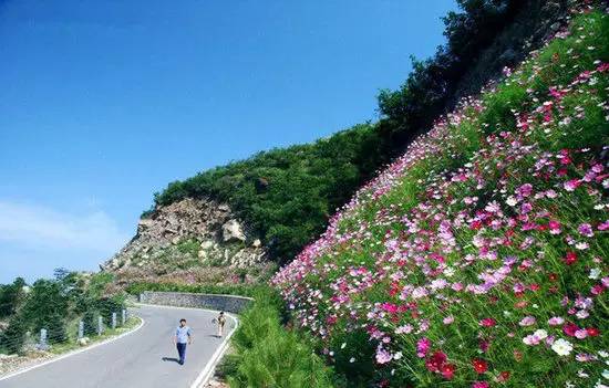 一周直播榜单,一周榜单