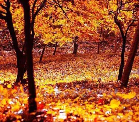 国务院批复合肥的定位,国家为什么要发展合肥