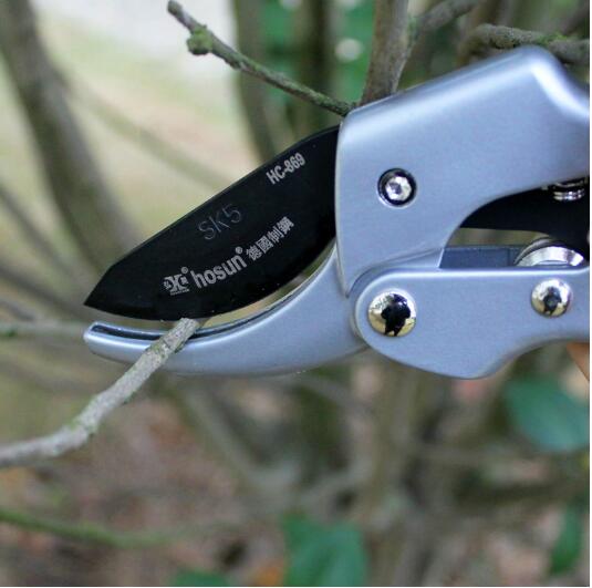 哪怕不发工资都行,就算不发工资也要买的护手霜