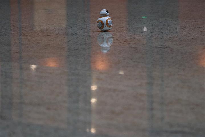 值得入手的数码相机平价佳能,佳能相机测评今年