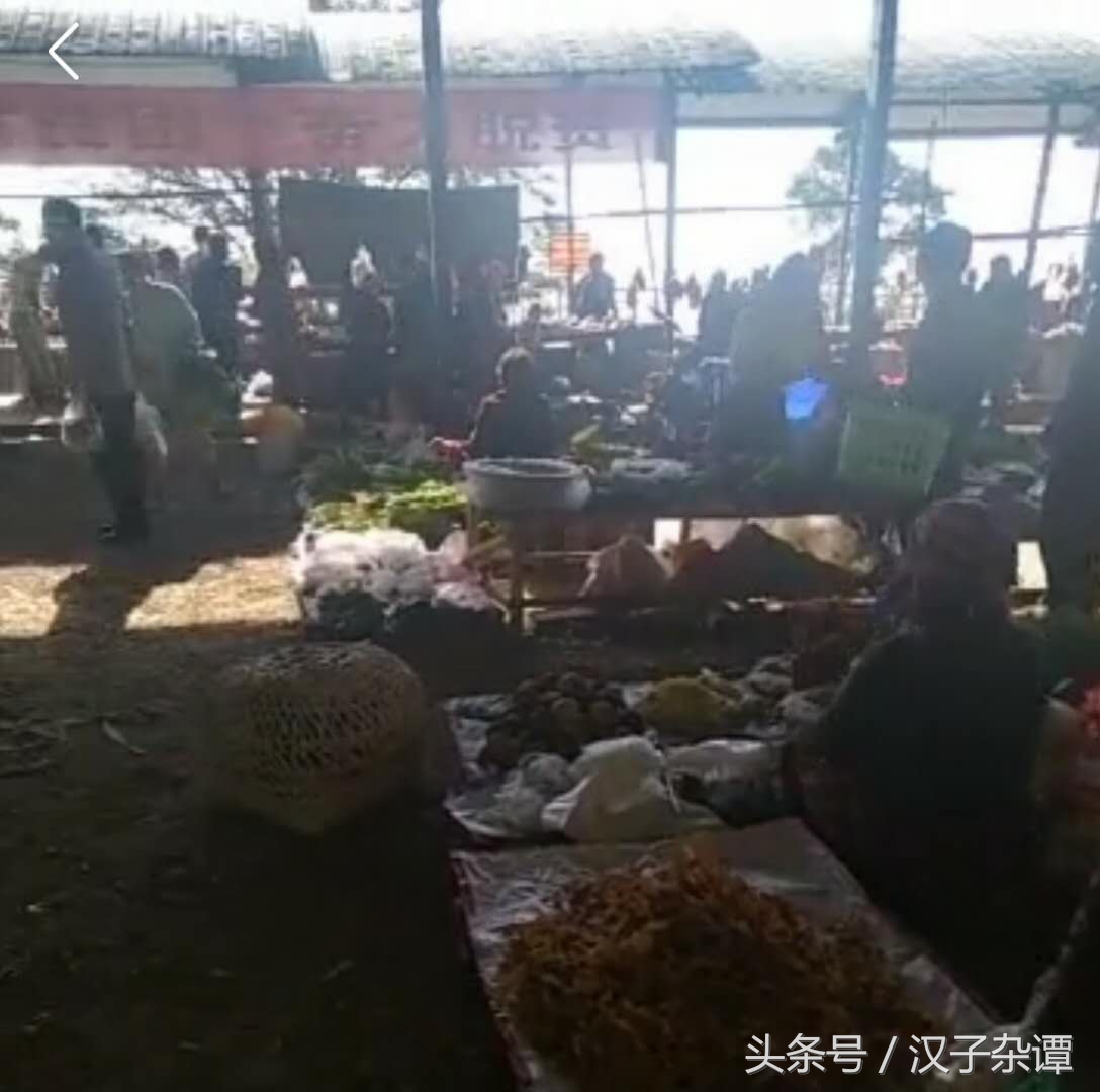 看似熊掌，实则佛掌，形象到不忍心下筷