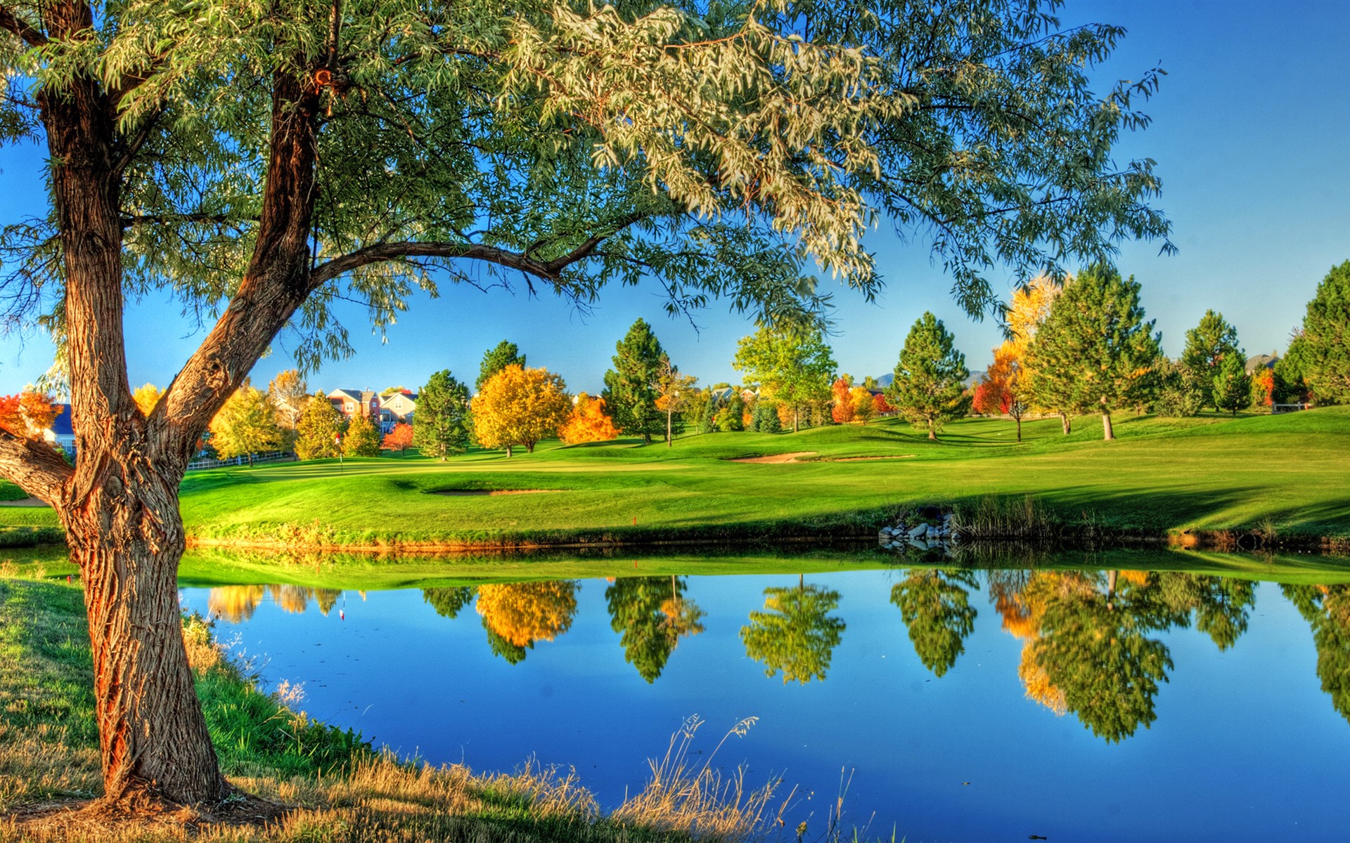 生肖牛最佳婚配属相是哪几个,生肖牛的最佳婚配和命格