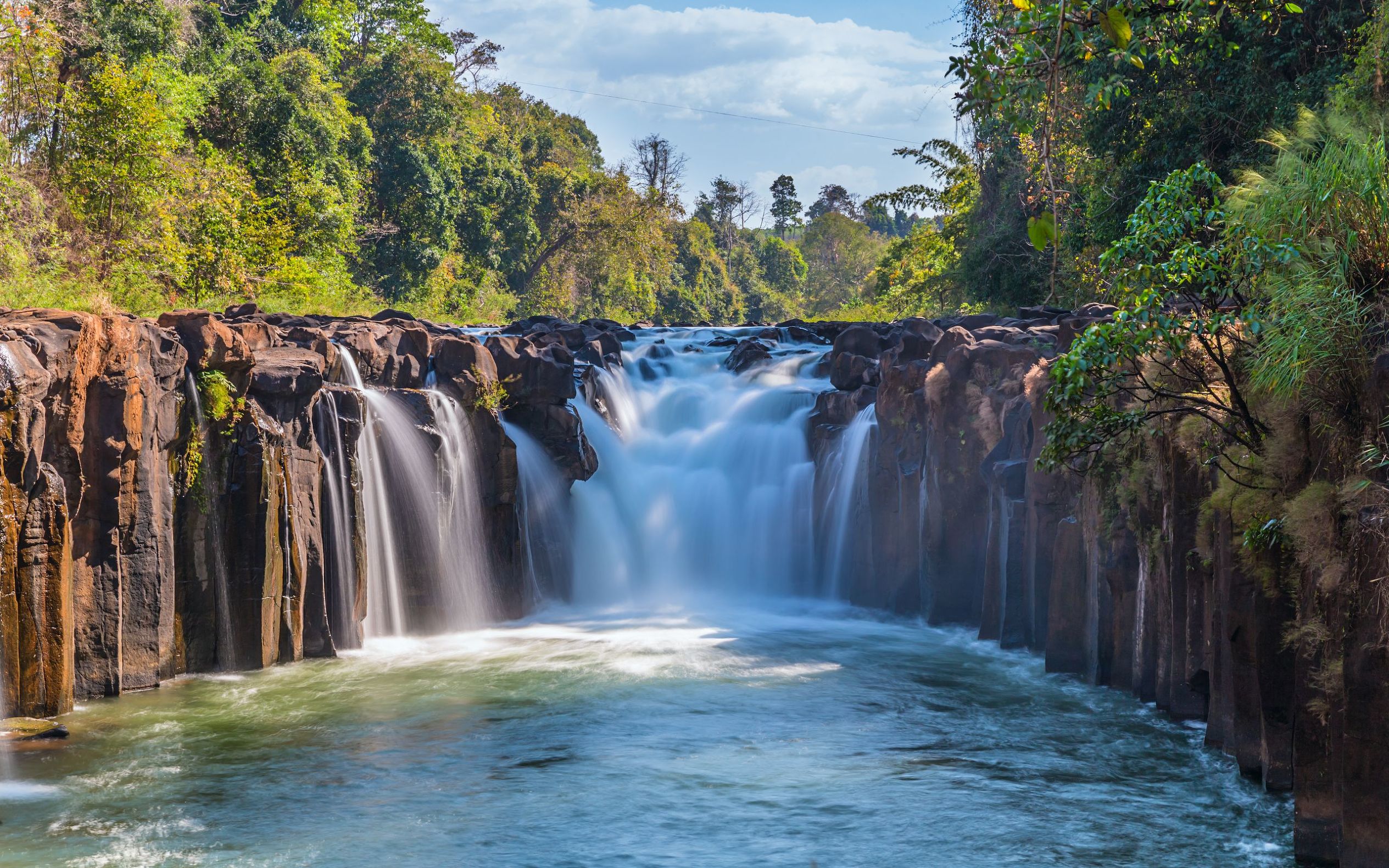 生肖牛一生的爱情,生肖牛一生有几次婚姻