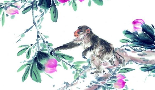 属猴1968出生今年财运,今天属猴的财运方位在哪方