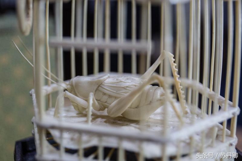 他靠炒股赢来的钱传承了近一辈子的宫廷鸟笼