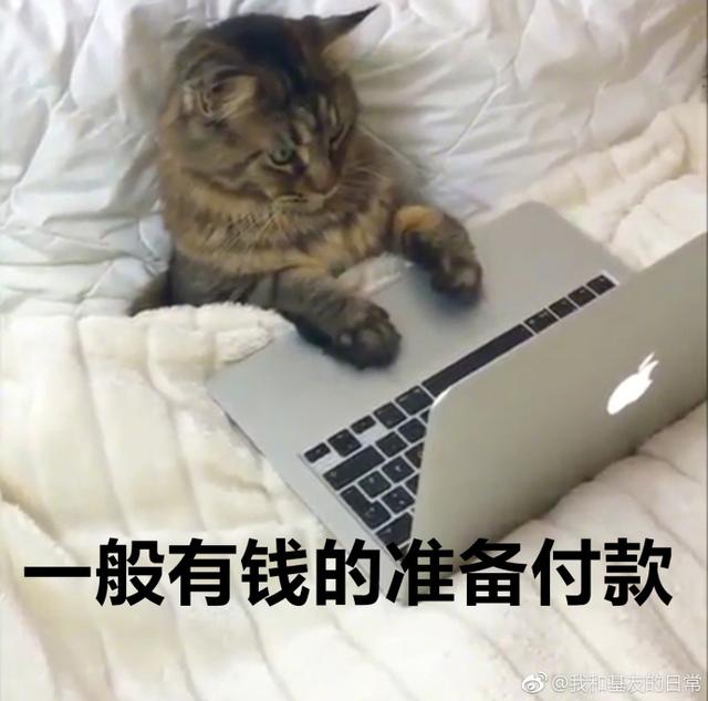 妻子网购140万刷爆17张卡,妻子瞒着丈夫网购140万刷爆17张卡