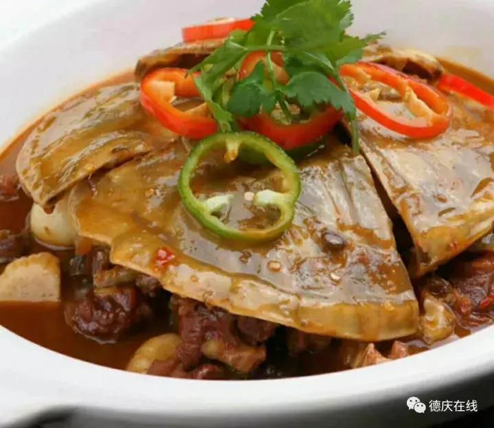 德庆鳄鱼龟,30万在深山养鳄鱼龟