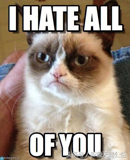 感染了HIV，还可以继续养宠物吗？