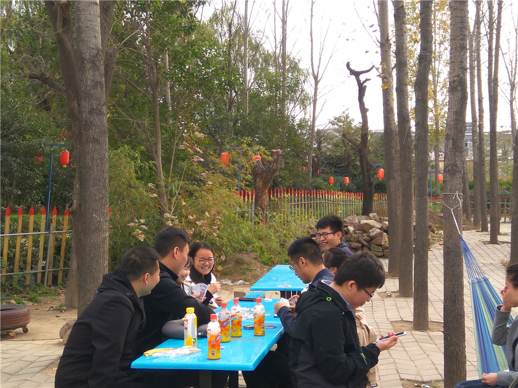 光棍节单身人群,郑州光棍节脱单机会