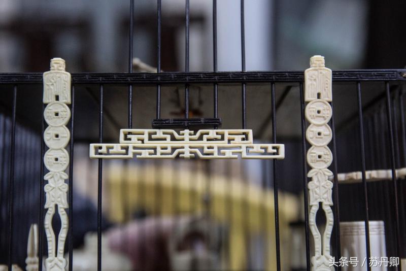 他靠炒股赢来的钱传承了近一辈子的宫廷鸟笼