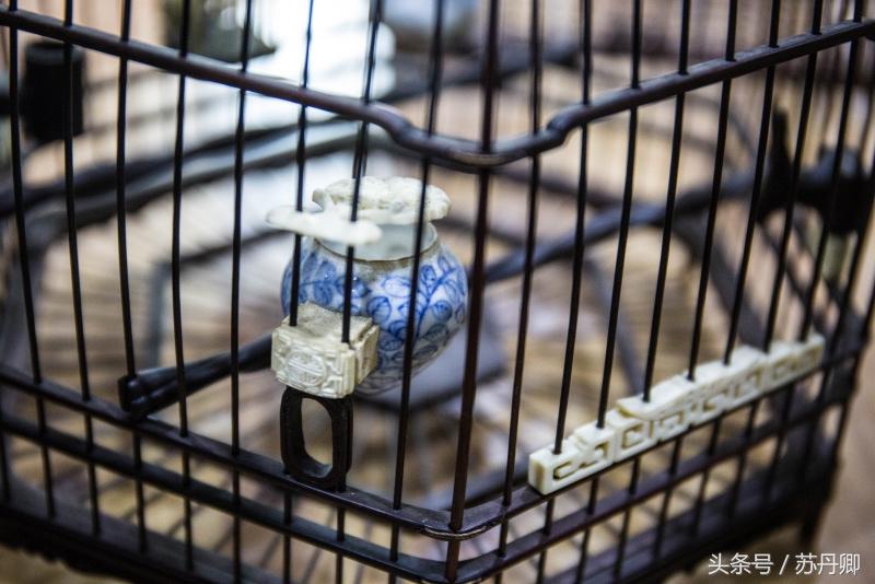 他靠炒股赢来的钱传承了近一辈子的宫廷鸟笼