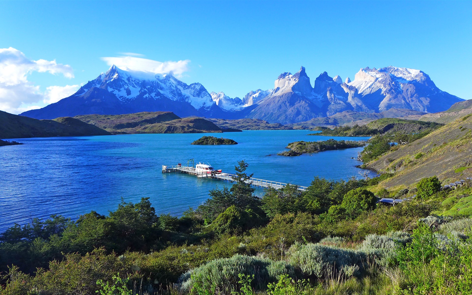 生肖牛一生的爱情,生肖牛一生有几次婚姻
