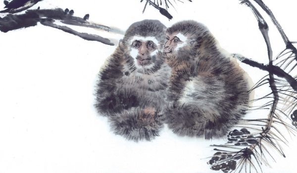 属猴1968出生今年财运,今天属猴的财运方位在哪方