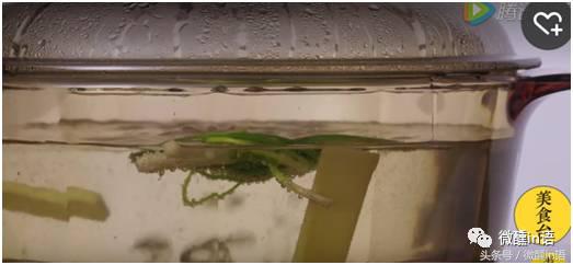 上海老味道在豫园,老味道上海麦乳精