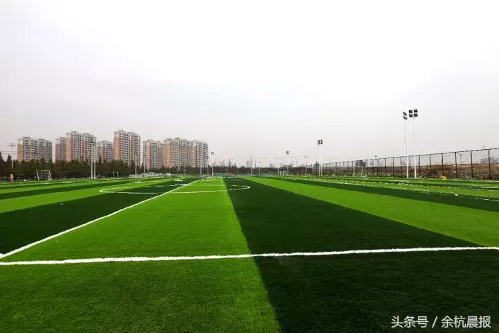 临平体育场最近有什么活动,临平运动中心