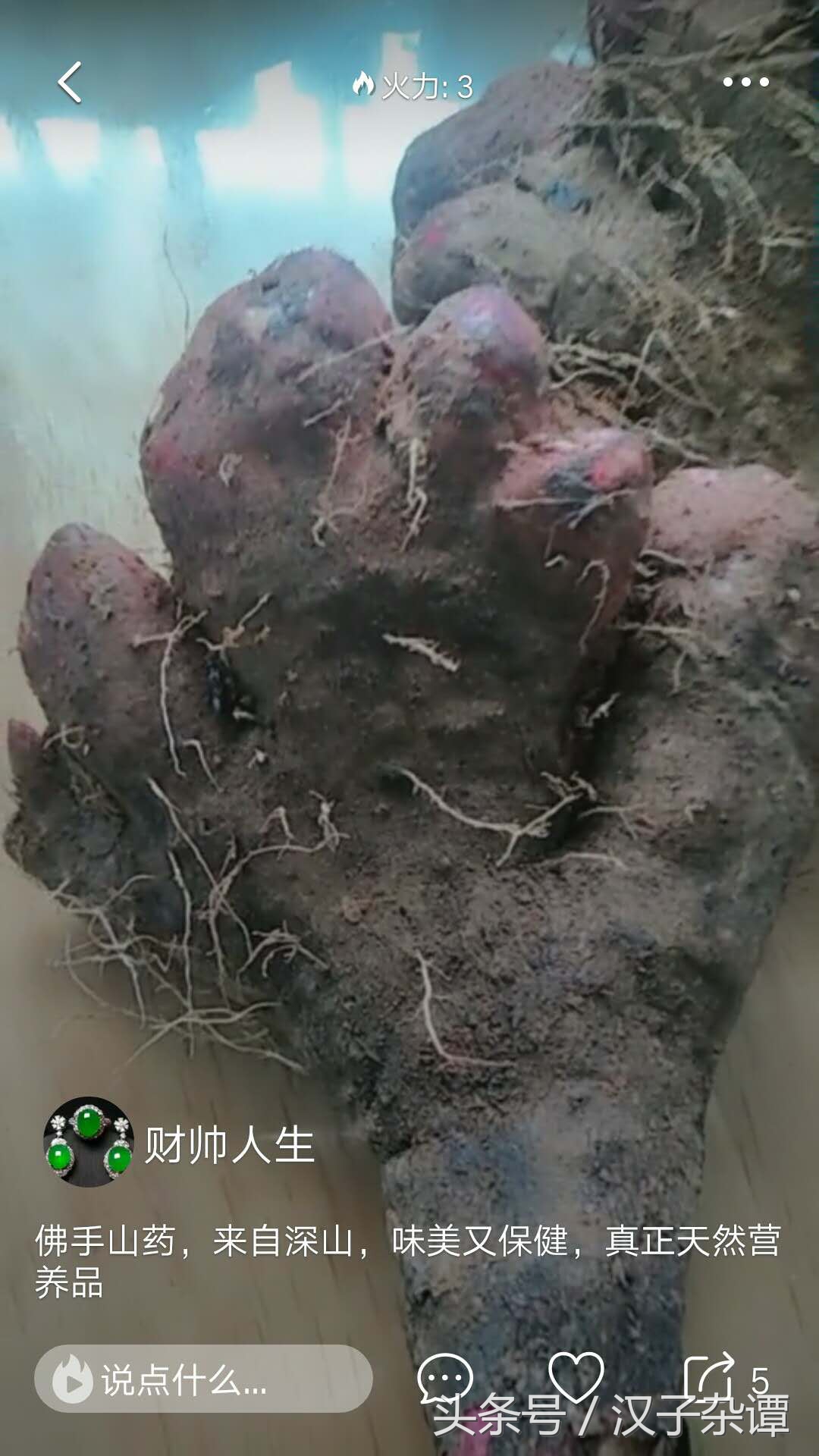 看似熊掌，实则佛掌，形象到不忍心下筷