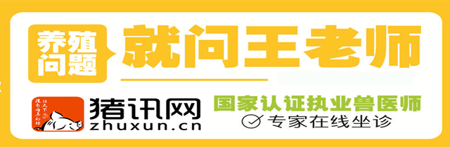 发酵床养猪技术资料大全,发酵床养猪技术和生态养猪技术