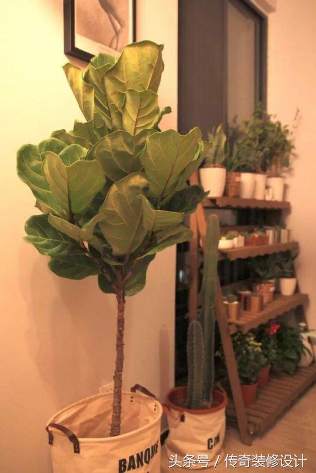 简单的东西最好看,看上去很简单的东西