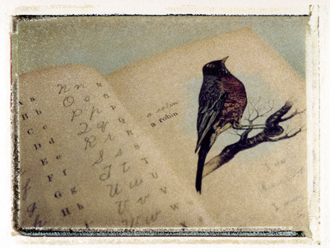 超高频英语怎么说,高频率英语词汇带音标