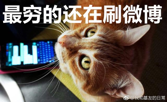 妻子网购140万刷爆17张卡,妻子瞒着丈夫网购140万刷爆17张卡