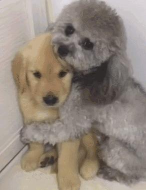 妻子网购140万刷爆17张卡,妻子瞒着丈夫网购140万刷爆17张卡