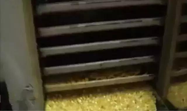 100年老蜜蜡真假鉴别,琥珀坊蜜蜡真假对比图