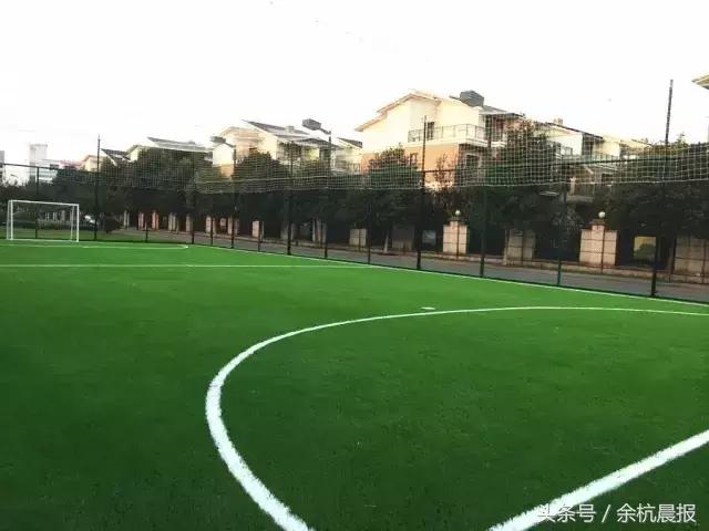 临平体育场最近有什么活动,临平运动中心