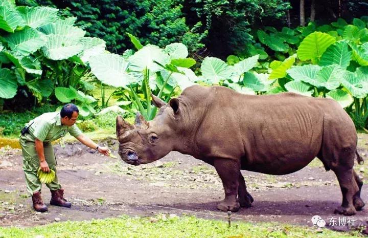 不要丧！去印尼泗水，找回你的快乐时光~