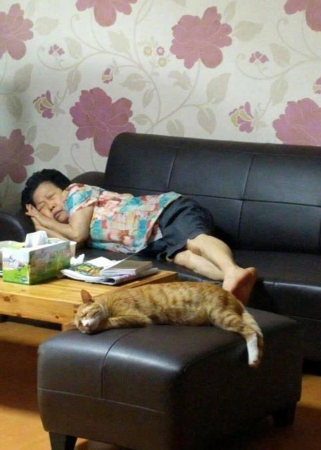 妻子网购140万刷爆17张卡,妻子瞒着丈夫网购140万刷爆17张卡