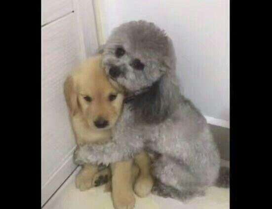 妻子网购140万刷爆17张卡,妻子瞒着丈夫网购140万刷爆17张卡