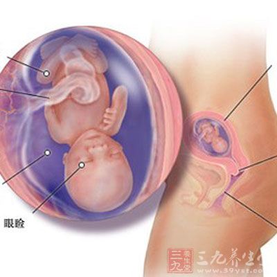 怀孕第32周是第几个月,怀孕第32天有什么症状