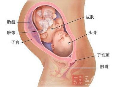 怀孕第32周是第几个月,怀孕第32天有什么症状
