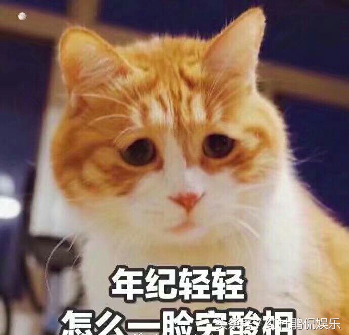 双十一，比起衣服化妆品，米面油日常消耗品更吸引我，这病怎么破