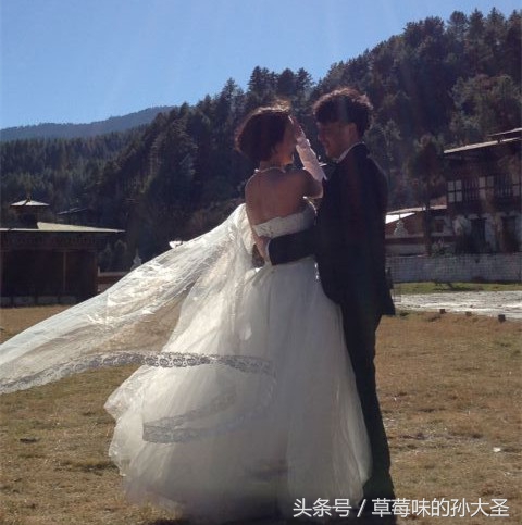 汪涵何炅近况如何,何炅和汪涵现状