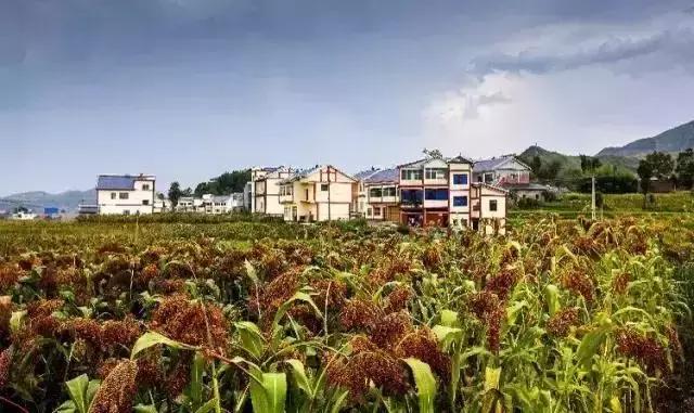 贵州最富的土豪村,贵州省最穷10大县