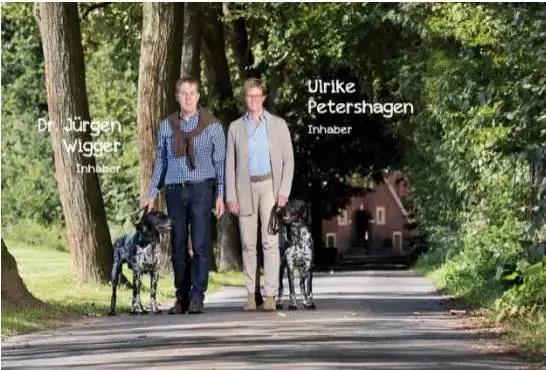 首家日销过亿的宠物公司!波奇网做对了什么?