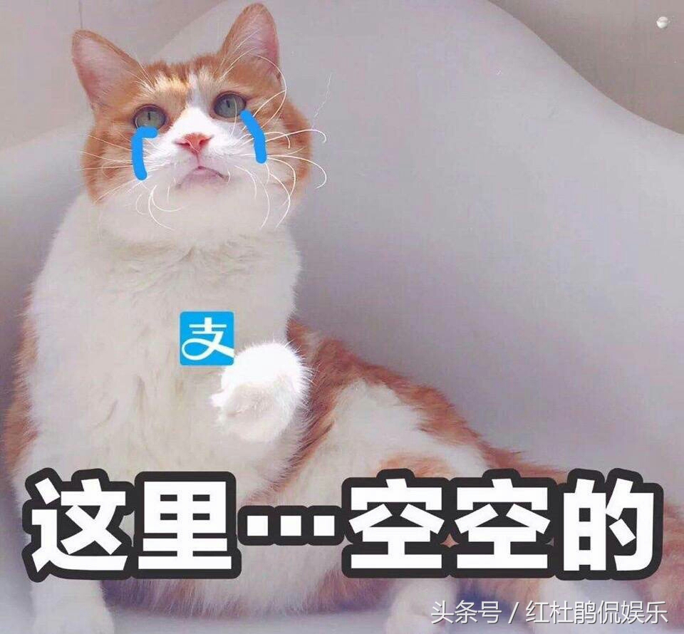 双十一，比起衣服化妆品，米面油日常消耗品更吸引我，这病怎么破