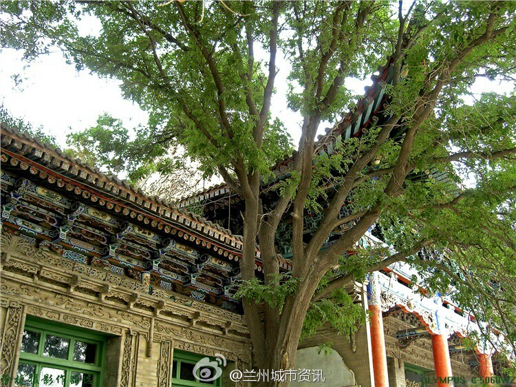 兰州三宝是哪三个,兰州市白塔山的镇山三宝是什么