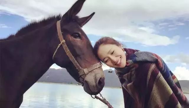 旅行的意义作文1000字,陈绮贞经典歌曲旅行的意义