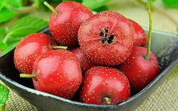 适合秋冬养生的水果,秋冬季节水果有哪些