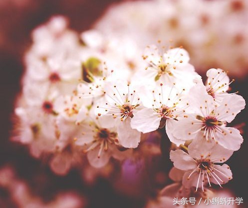 高中地理学业水平知识点大总结,高二学业水平测试地理知识点总结