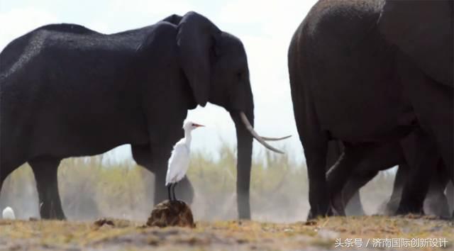 这34个间谍，每天只干一件事：*窥偷**！还拍成电影全球上映？
