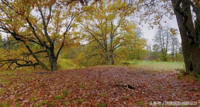 这34个间谍，每天只干一件事：*窥偷**！还拍成电影全球上映？