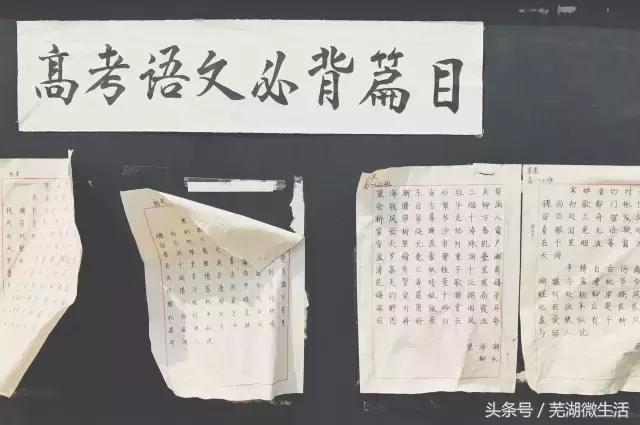 蚌埠最大中学,蚌埠目前最好的中学