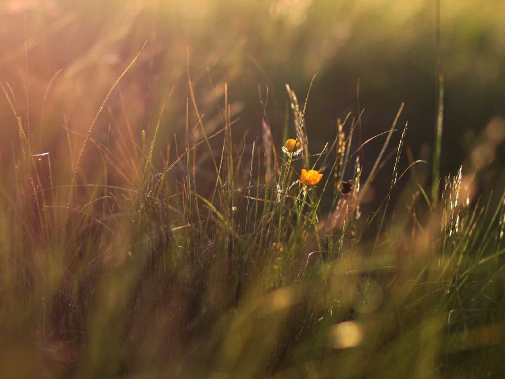 用牙膏洗硬币好不好,用牙膏洗银器会伤害银器吗