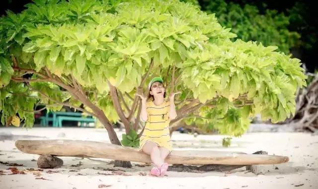 帕劳旅游攻略详解,帕劳旅游攻略六天